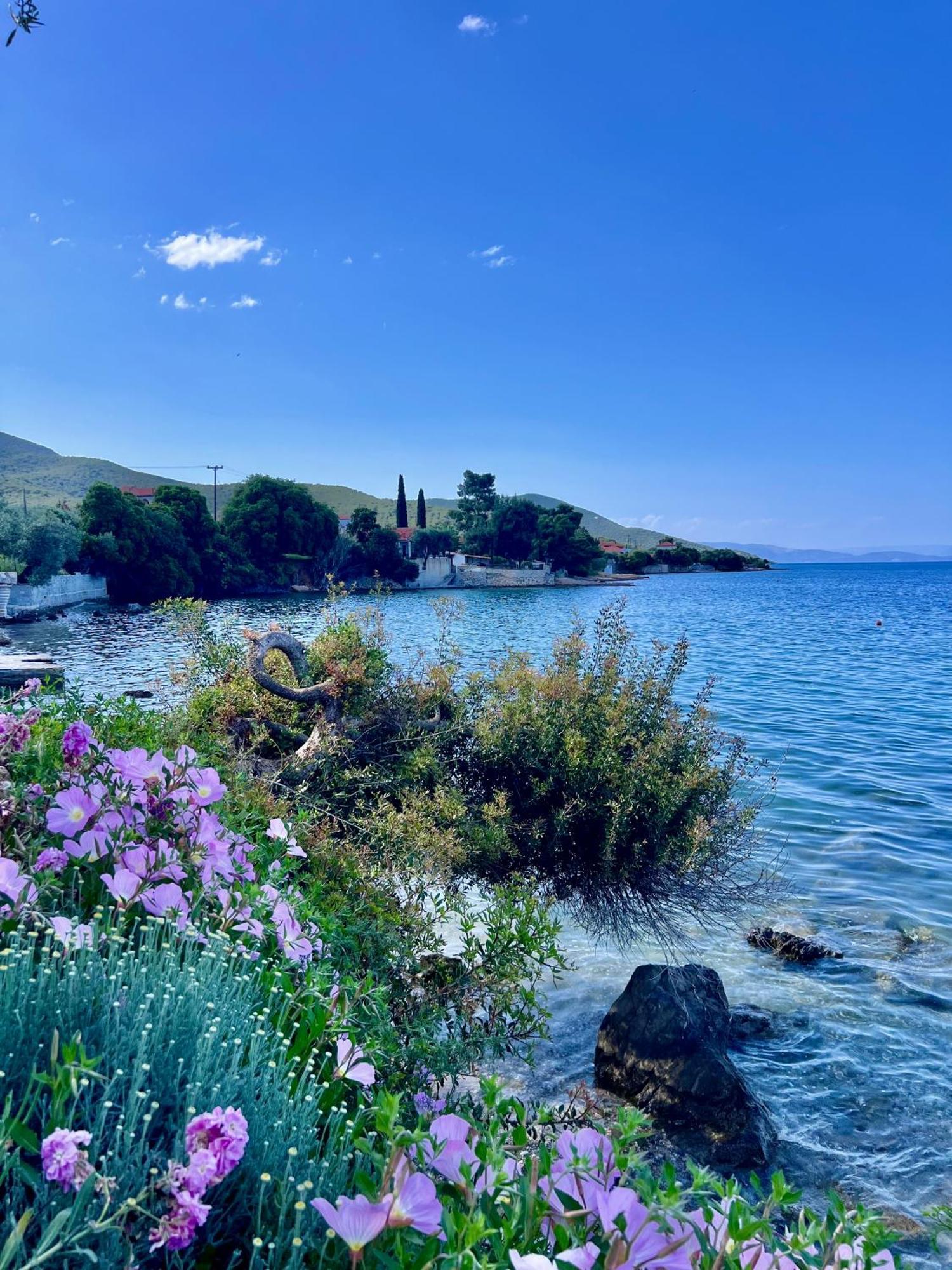 Villas Nies Sourpi Екстериор снимка